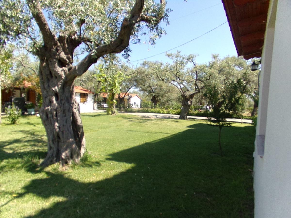 Villa Karapataki Skala Rachoni  Room photo